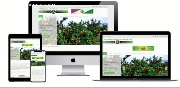 Σχεδίαση ιστοσελίδων: Joomla PHP HTML CSS JS MySQL